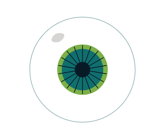 Straight on view of an eye illustration